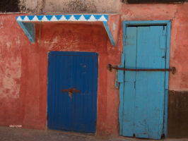 Dromadaire